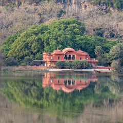 Jungle View Resort Gallery