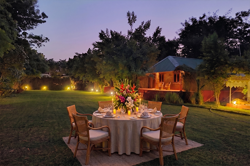 Candlelight Dining in the Jungle