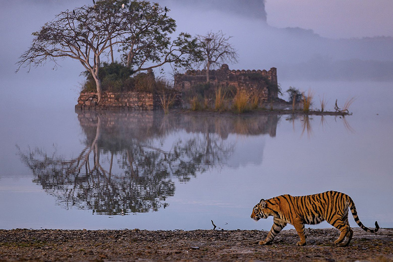 Ranthambore National Park