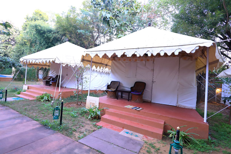 Tent Room - Jungle View Resort